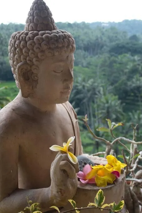 Heaven View 2 Apartment Ubud