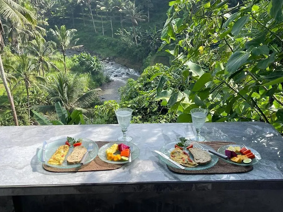 Heaven View 2 Apartment Ubud  Indonesia