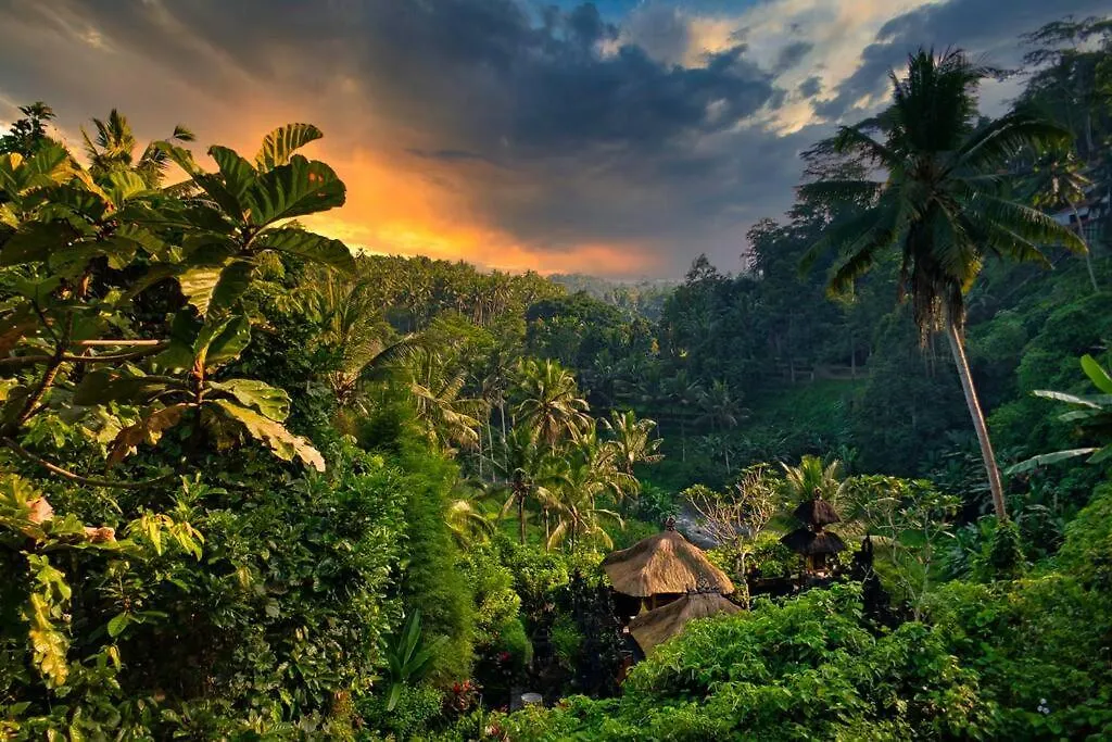 Heaven View 2 Apartment Ubud